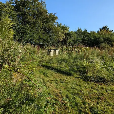 Bed & Breakfast Roholtegaard
