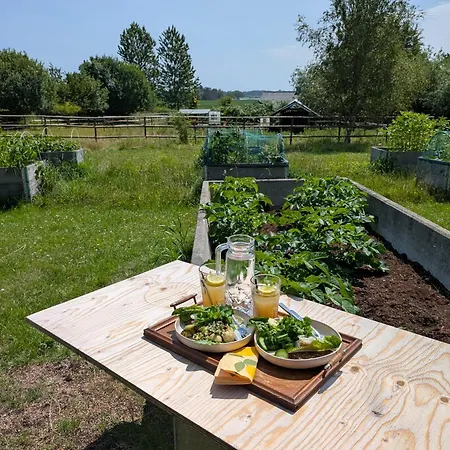Roholtegaard Bed & Breakfast *