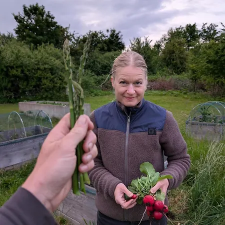 ベッド・アンド・ブレックファスト Roholtegaard