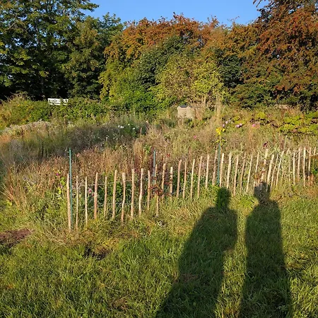 Bed & Breakfast Roholtegaard