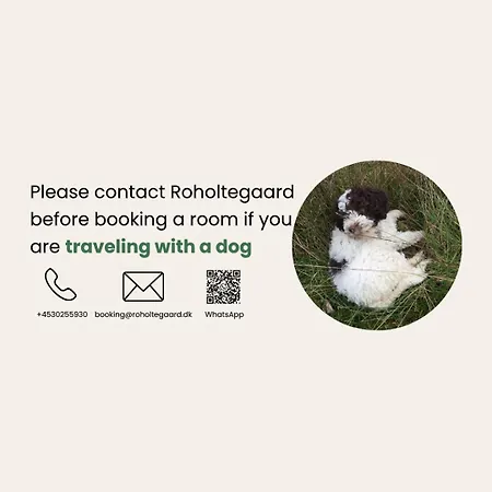 فندق مبيت وإفطار Roholtegaard Faxe
