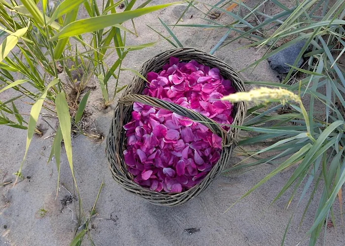 Roholtegaard-overnatning B&B *